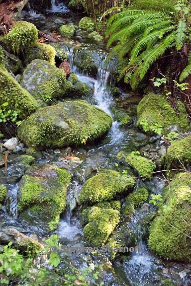 stream 3598 3 graphic